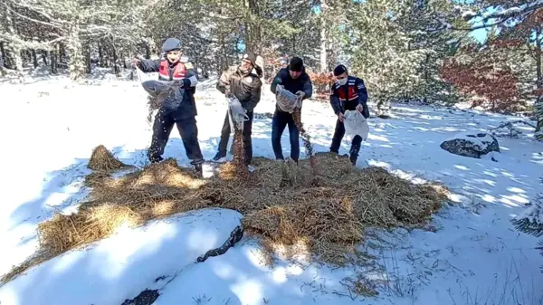 Karla kaplı Kazdağları'na yaban hayvanları için yem bırakıldı