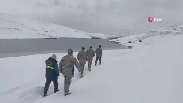 Adada mahsur kalan atlar teknelerle kurtarıldı