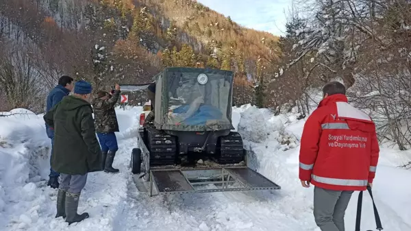 Efteni Gölü Kuş Cenneti'nde yaban hayvanlarına 1 ton yem bırakıldı