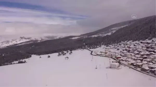 Mesudiye'de yaylada düzenlenen festival ilgi gördü