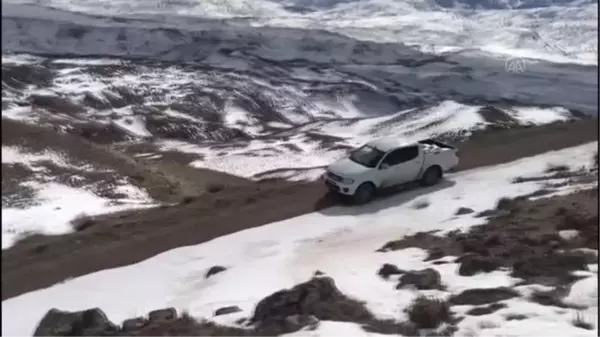 Avcılar yaban hayvanlarına yem bıraktı