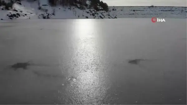 Aksaray'da Mamasın Barajı buz tuttu