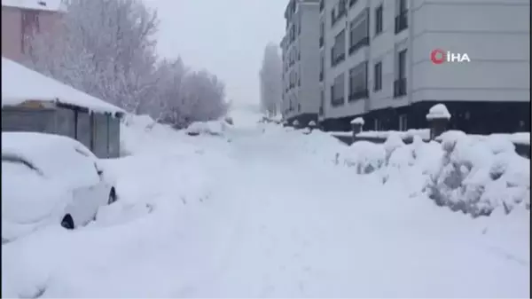 Karlıova'da kar yağışı etkisini sürdürüyor