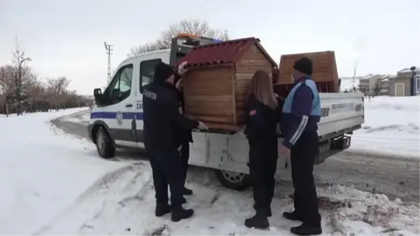 Erciş'te sokak hayvanları için kulübe bırakıldı