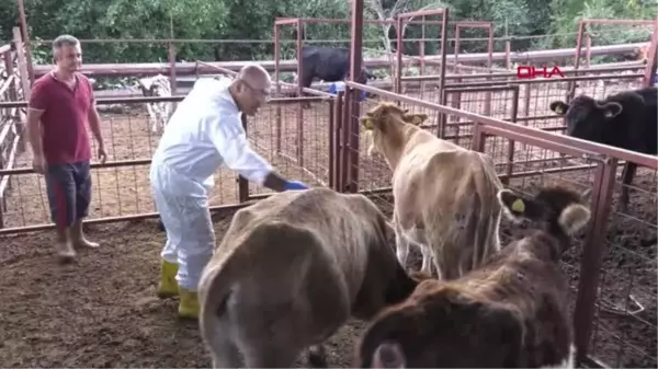 KONYAALTI, HAYVANCILIKTAKİ UYGULAMALARIYLA ÖRNEK OLDU