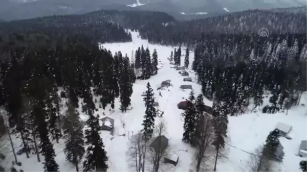 Aradığı huzuru yayla yaşamında buldu