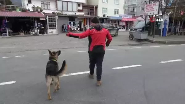 Artvin'de temizlik işçisi ile sokak köpeğinin gülümseten dostluğu