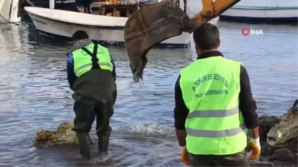 Bodrum'da kaçak iskeleler yıkılıyor... 46 adet iskelenin yıkımına başlandı