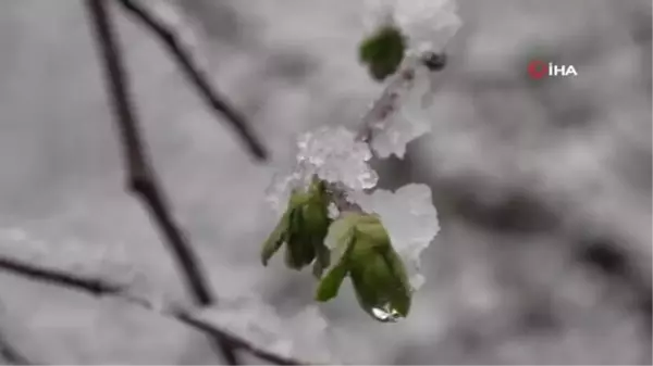 Türkiye Ziraat Odaları Birliği Yönetim Kurulu Üyesi Soydan: 