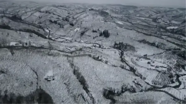 SAKARYA/BOLU - Kar etkili oluyor - Dereköy Vadisi ve Kartalkaya