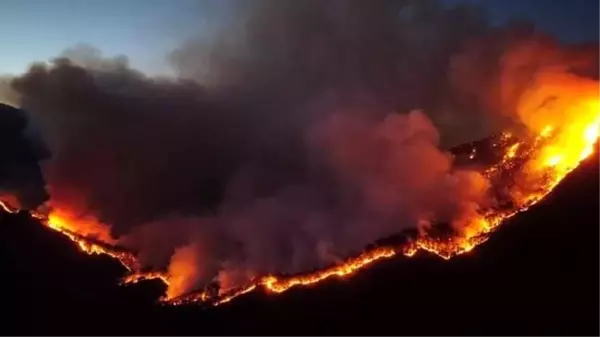 Son dakika! Meksika'da 33 ayrı noktada aktif orman yangını bildirildi