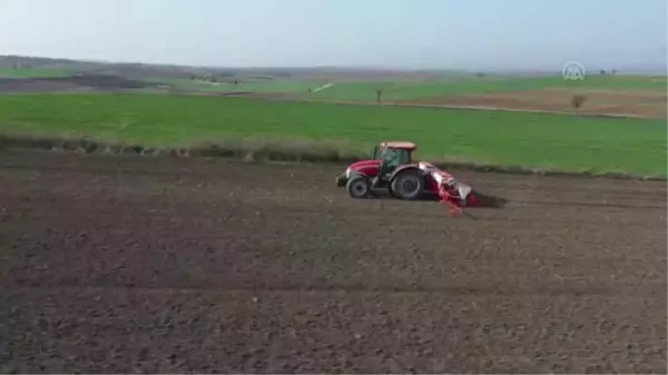 Türkiye'nin önemli ayçiçeği üretim merkezlerinden Edirne'de ekim mesaisi başladı