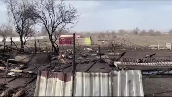 Son dakika: Ağılda çıkan yangında yaklaşık 150 küçükbaş hayvan telef oldu