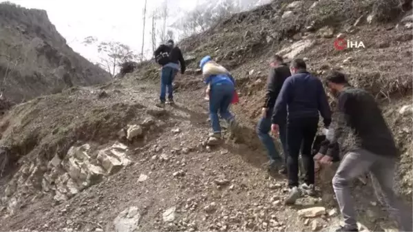 Yüksekova'da yetişen zerik ve siyah üzümün aşı kalemleri Tekirdağ'da muhafaza edilecek