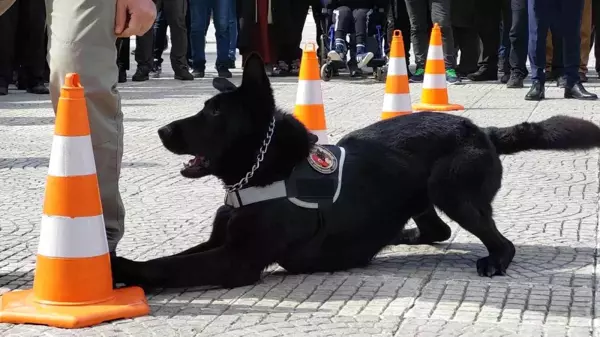 Samsun'da 10 Nisan Polis Bayramı kutlamaları