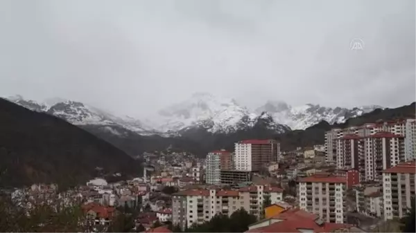 GÜMÜŞHANE - Yüksek kesimlere kar yağdı