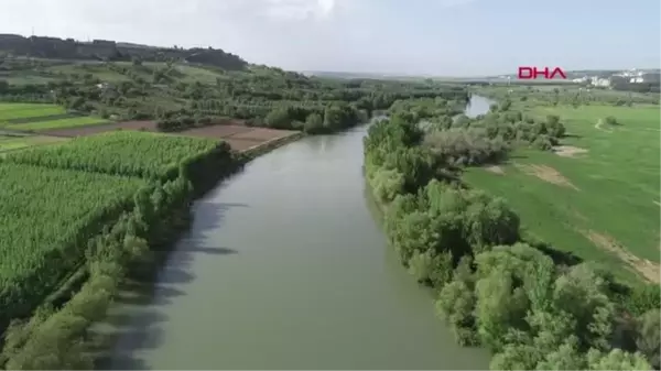 'HEVSEL'DEKİ YALIÇAPKINLARININ VARLIĞI DİCLE NEHRİ'NİN SU KALİTESİNİN BOZULMADIĞININ GÖSTERGESİDİR'