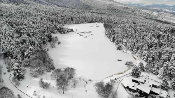 Turizm merkezlerinin ziyaretçi sayısı 3 ayda yüzde 12,35 arttı