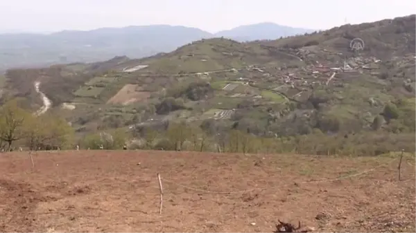 Son dakika: Çocukluk arkadaşı 4 mühendis atıl araziyi tarıma kazandırıyor