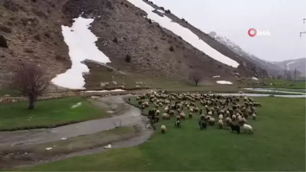 Bitlis'teki dağların bir yanı kar bir yanı bahar