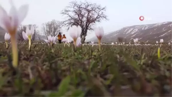 Bitlis'teki menderesleri her mevsim doğal güzellikleriyle dikkat çekiyor