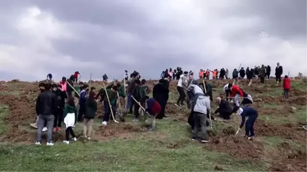 Çubuk'ta çocuklar 23 Nisan'a özel 102 fidanı toprakla buluşturdu