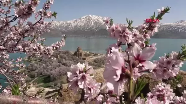 ÇİÇEKLERLE KAPLANAN AKDAMAR ADASI'NA FOTOĞRAFÇI AKINI