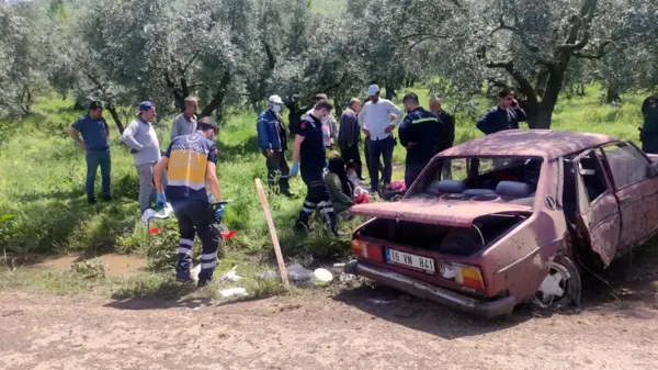 Otomobil zeytinliğe daldı, 2'si çocuk 4 kişi yaralandı