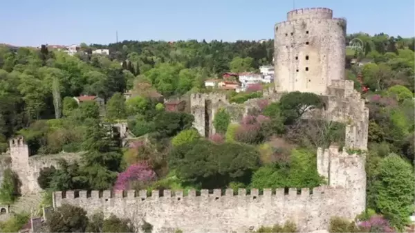 Erguvanlar, İstanbul Boğazı'nı taçlandırdı