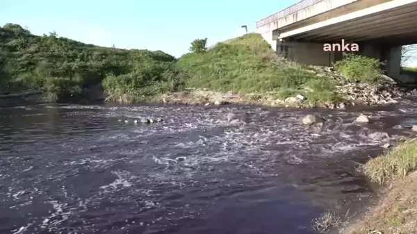 CHP Tekirdağ Milletvekili Aygun, Siyah Akan Ergene'nin Kenarına Giderek Açıkladı: 