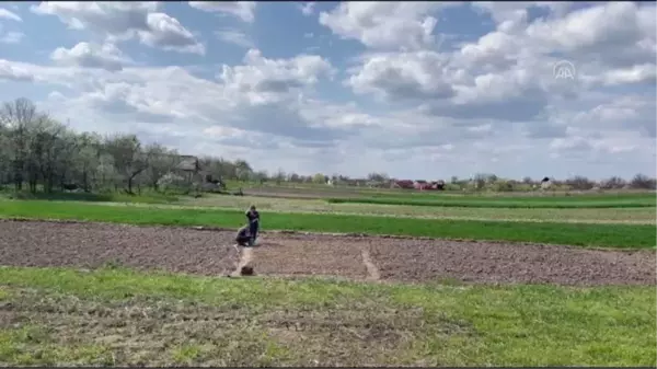 Son dakika haberi | Ukrayna'nın Lipivka köyünde Rus saldırılarının ardından mahsul ekimine başlandı