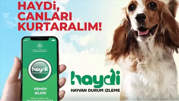 HAYDİ uygulaması nedir, nasıl çalışır? HAYDİ hayvan polisi ne iş yapar? HAYDİ uygulaması ücretli mi?