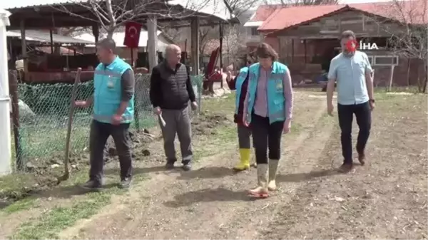 Meyve ağaçlarının kabuklarındaki kuruma üreticileri endişelendirdi