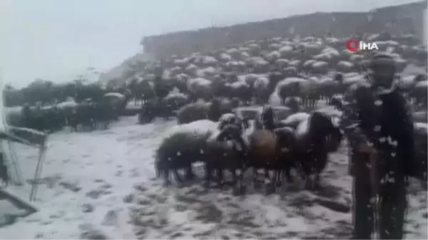 Besiciler Mayıs ayında yaylada kar engeline takıldı