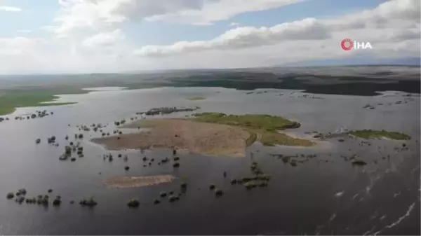 Bu ilçe taşıma suyla tarımı 5'e katladı