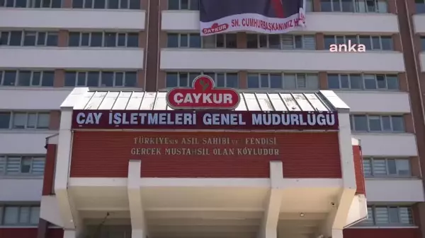 Çay Üreticileri, Rize'de: 