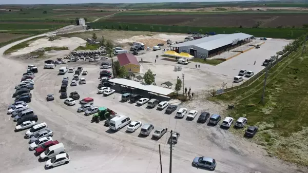 Tekirdağ'da 1. Koç Panayırı düzenlendi