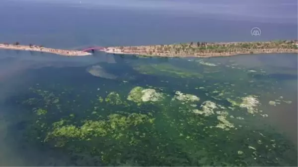 İzmir Körfezi'nde kötü koku sıcaklığın yükselmesiyle etkisini artırdı