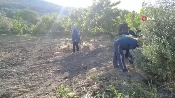 Akılalmaz olay: Renkli tapuyla kapora vurgunu... Başkasının arsasını satışa çıkararak onlarca kişiyi dolandırdı, gerçek icrayla ortaya çıktı