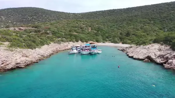 Bodrum'da Sualtı Sergisi Açıldı