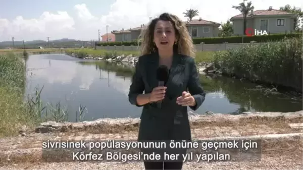 ZİHA'ların hedefinde sivrisinekler var