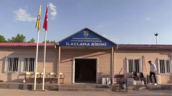 Diyarbakır Büyükşehir Belediyesi ilaçlama çalışmalarını sürdürüyor