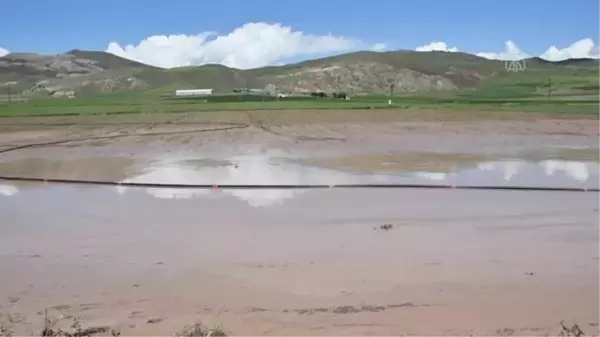 Selden zarar gören Gemerek'te hasar tespit çalışmaları sürüyor