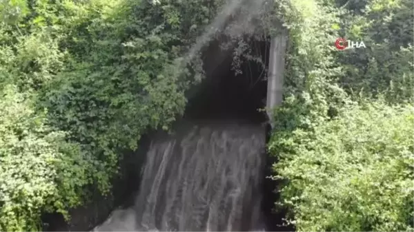 Atıksu Arıtma Tesisi'nin sularının arıtılmadan Riva Deresi'ne bırakıldığı iddia edildi