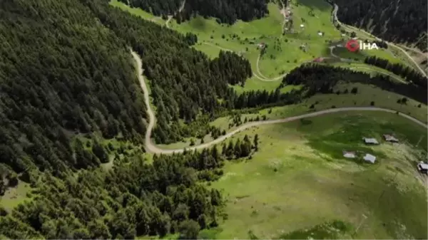 Gümüşhane'de yayla göçü başladı