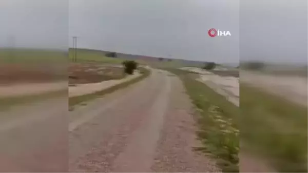 Aslanapa'da sel ve dolu ekili alanlarda zarara yol açtı