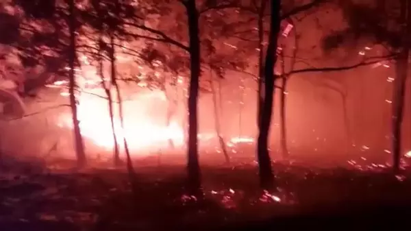 Son dakika haberi | Marmaris'te Akşam Çıkan Orman Yangını Söndürülemedi. Başkan Oktay: 