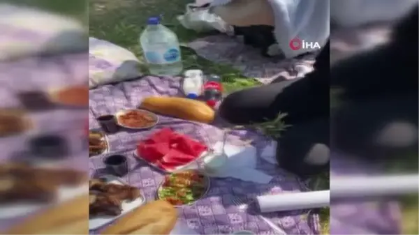 Piknikte hayatının şokunu yaşadı... Ekmeğin içinden fare çıktı, soluğu mahkemede aldı