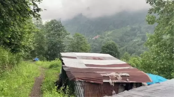 64 yaşındaki kadın ikisi de yatalak olan annesi ve kız kardeşine bakıyor