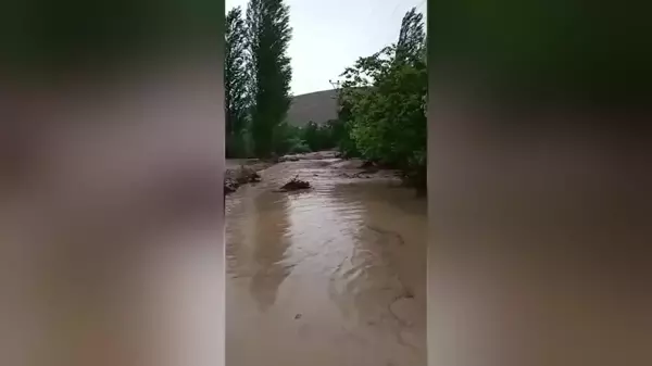 Niğde'de Sağanak Yağış Sonrası Dereler Taştı, Evler Su Altında Kaldı